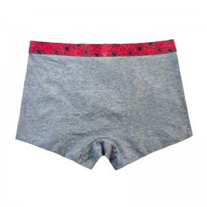 Cậu bé Underpants Ngườinhện in màu tương phản em bé Underpants Comfort Basic