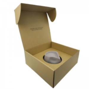 Mũ thưnâu Tuck Top Packaging Packaging Paper Hộp thư