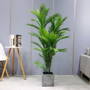 Mô phỏng cây cọ allseason an toàn và vô hại Dypsis lutescens chonhà cung cấp vườn trang trí đám cưới trang trí làm vườn