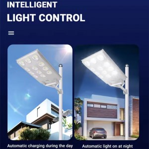 Ánh sáng vườn mặt trời trắng