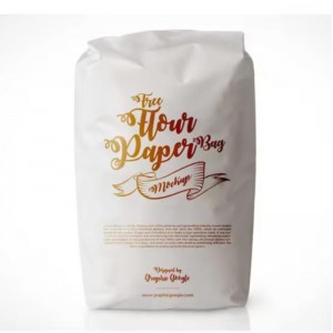 Bán buôn tùy chỉnh 1kg 2kg 5kg 10kg có thể tái chế đứng bốn bên thực phẩm thực phẩm Mylar Powder Powder Powder