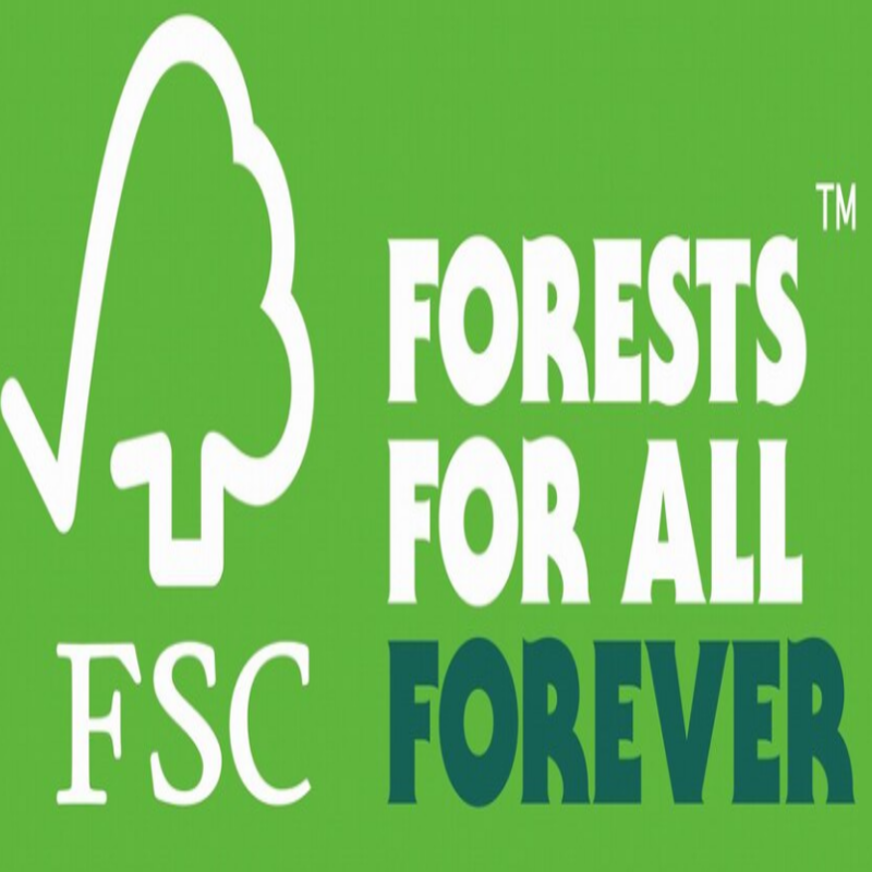 Bao bì giấy FSC: Sự lựa chọn bền vững cho doanhnghiệp của bạn