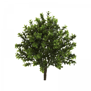 Bất động cảm ứng palnts(trongnhà&ngoài trời)
