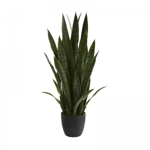 Bất động cảm ứng palnts(trongnhà&ngoài trời)