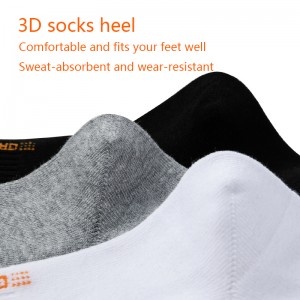 Bốn mùanam giữa-Bàn tất