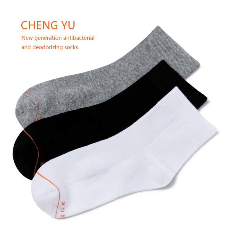 Mùa xuân và mùa hènam giữa-Bàn tất